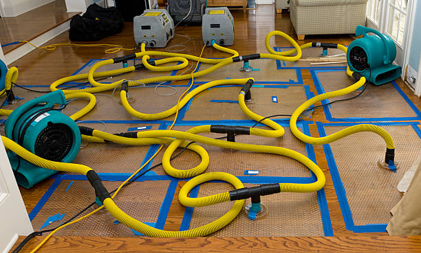 Professional Crawl Space Water Removal technician working in High Hill, MO